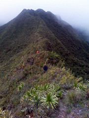 parque nacional podocarpus