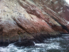 Islas Ballestas - See the Pinguins