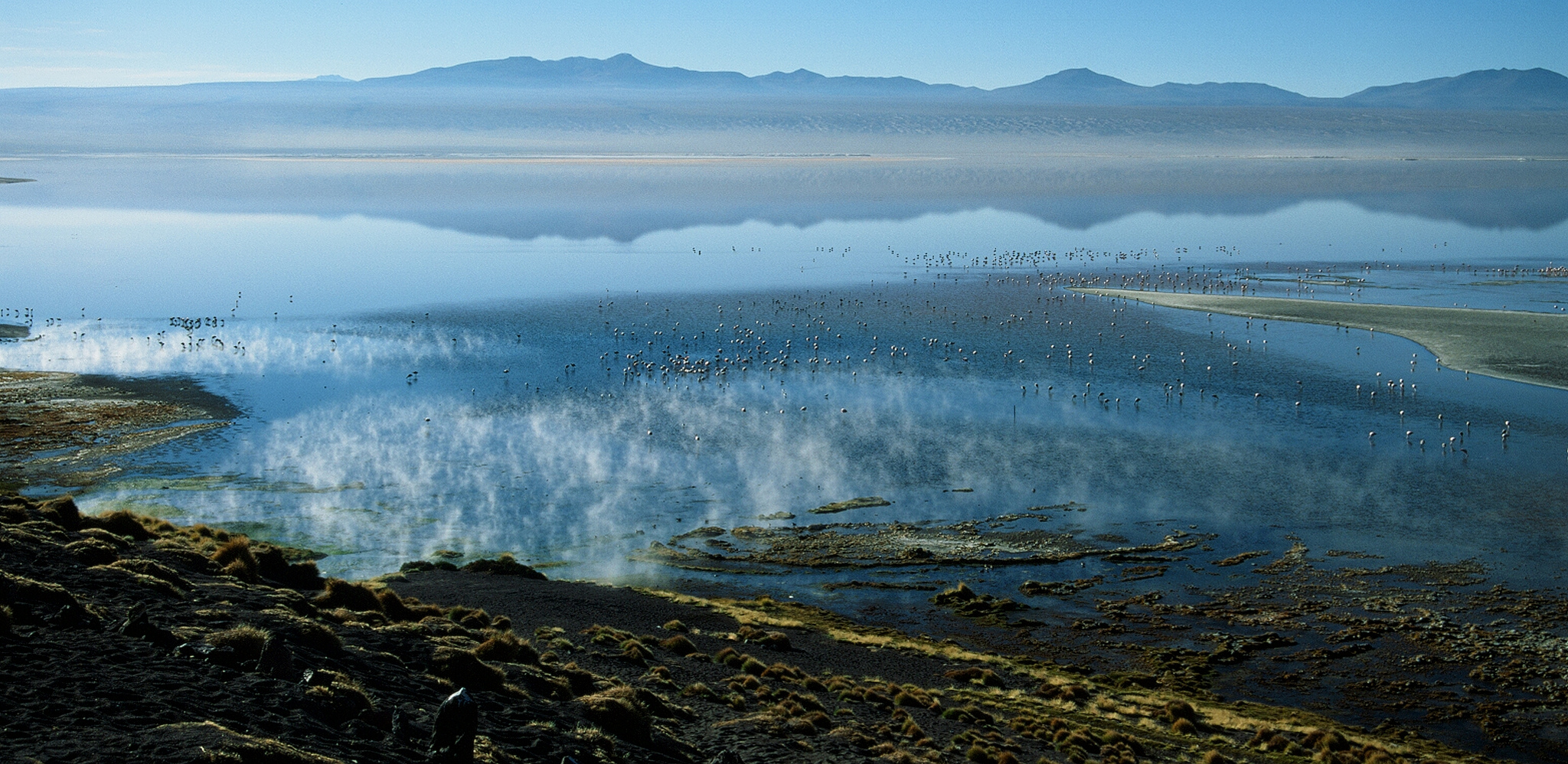 Laguna Colorada